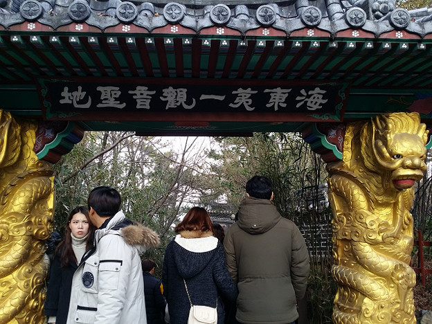 resize14719 写真: resize14719