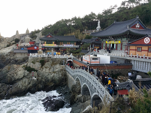 resize14720 写真: resize14720
