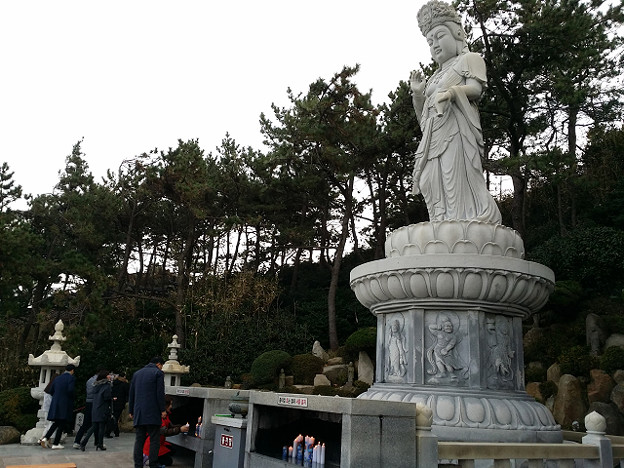 resize14740 写真: resize14740