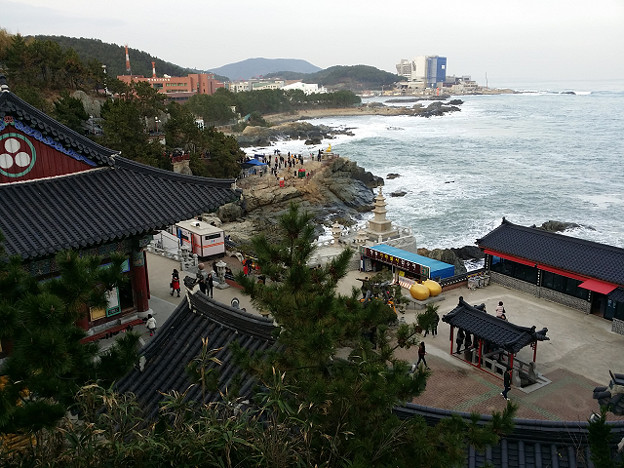 resize14742 写真: resize14742
