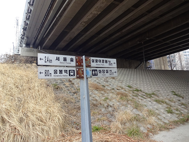 resize15136 写真: resize15136