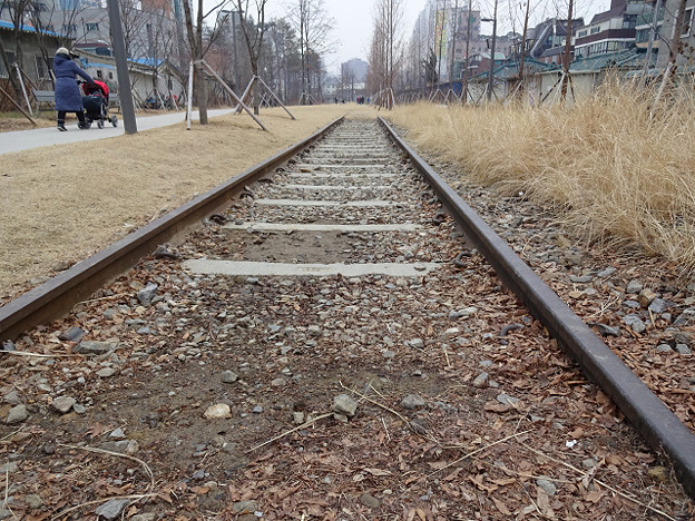 resize15240 写真: resize15240