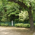多摩川亀甲山古墳 多摩川亀甲山古墳