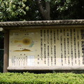 多摩川亀甲山古墳 多摩川亀甲山古墳