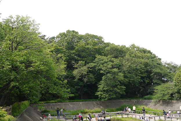 多摩川亀甲山古墳 写真: 多摩川亀甲山古墳