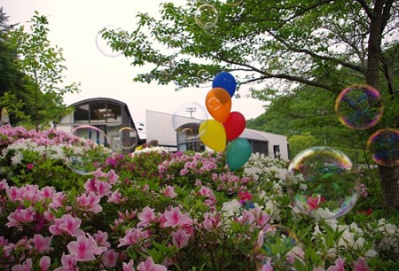 IMGP0901_0506