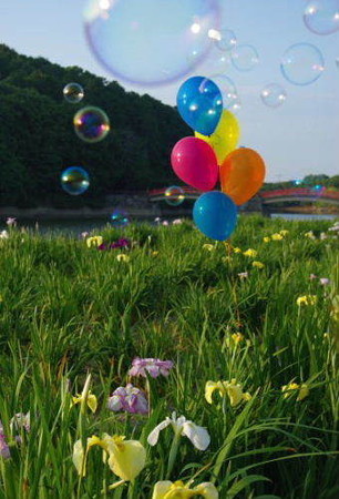 IMGP5197_0603