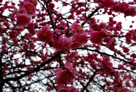 IMGP5652_0307