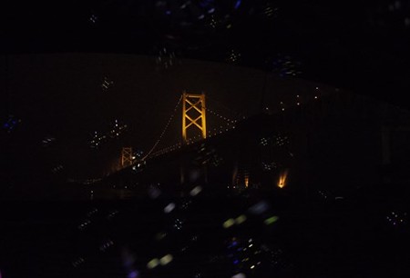 IMGP5921_0307