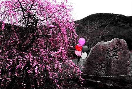 IMGP6183_0308