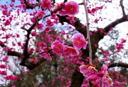 IMGP6523_0308