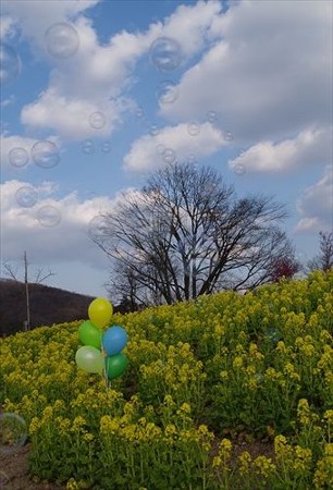 IMGP0531_0212