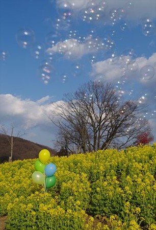 IMGP0614_0212