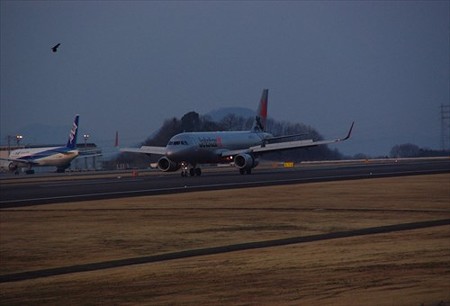 IMGP5082_0314
