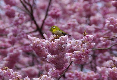 IMGP5011_0314