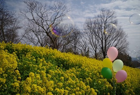 IMGP1256_0321