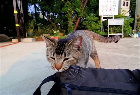 IMGP8677_0322