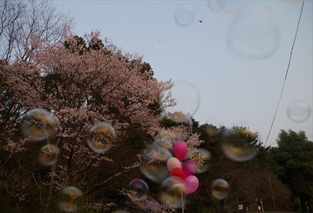 IMGP1996_0322
