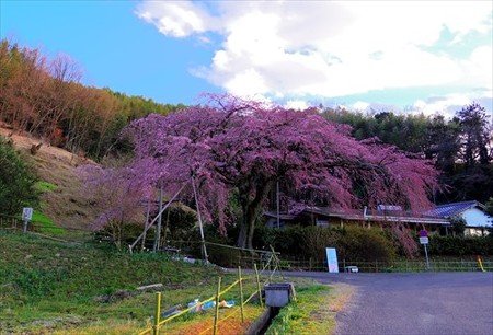 IMGP9366_0325
