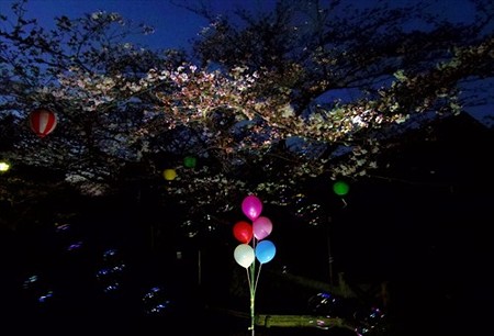 IMGP0567_0328