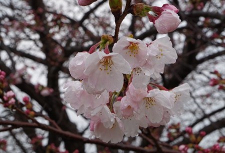 IMGP2468_0329