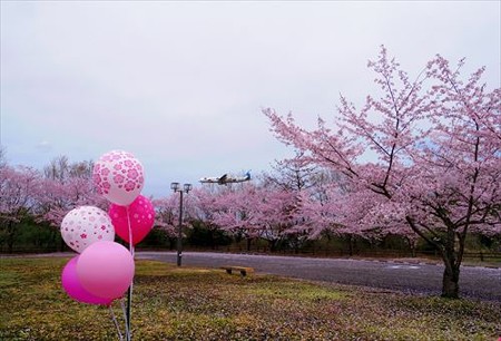 IMGP2696_0404