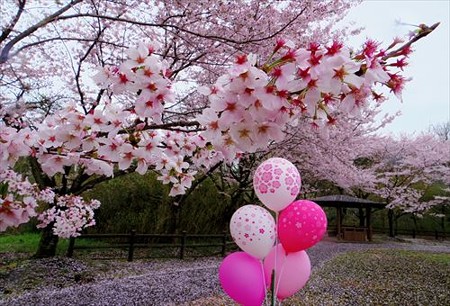IMGP2820_0404