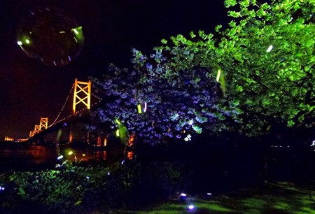IMGP3176_0404
