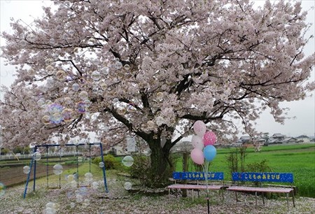 IMGP4152_0405