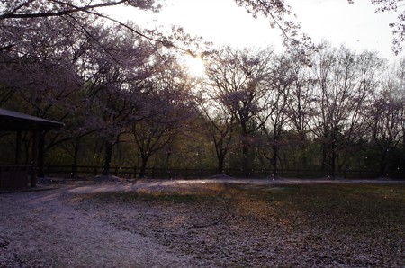 IMGP4433_0405