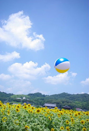 IMGP8874_0723