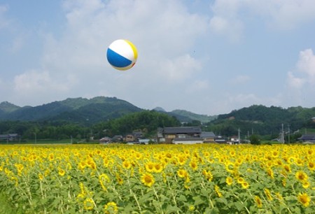 IMGP8679_0723