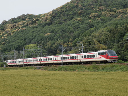 名鉄1000系特急 名古屋本線山中~藤川03