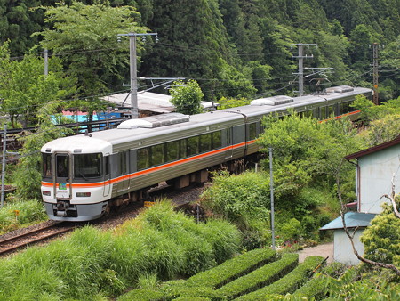 373系特急ワイドビュー伊那路 飯田線向市場~城西06