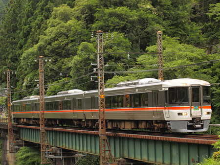 373系特急ワイドビュー伊那路 飯田線向市場~城西08