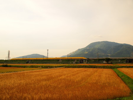 ドクターイエロー 東海道新幹線米原~岐阜羽島01
