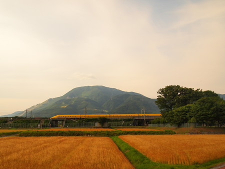 ドクターイエロー 東海道新幹線米原~岐阜羽島03