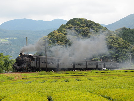 C10急行かわね路 大井川鐵道家山~抜里01
