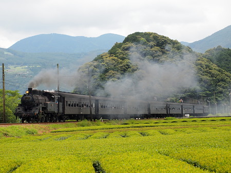C10急行かわね路 大井川鐵道家山~抜里03