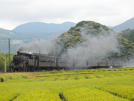 C10急行かわね路 大井川鐵道家山~抜里04