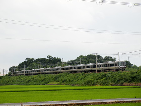 223系普通 東海道本線稲枝~能登川01