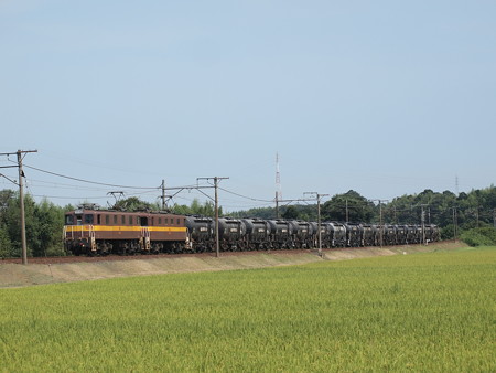 ED45形貨物 三岐線山城~保々04