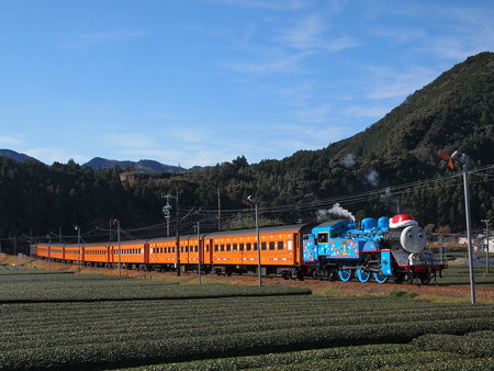 トーマス 大井川鉄道線家山~抜里02