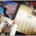 @y4uk月スタート ～April spring cat sakura