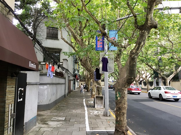 ??路 (2)