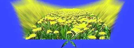 the world of yellow-03