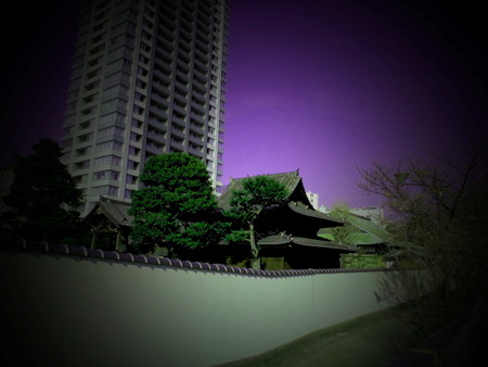 目黒川沿い_東海寺-01d