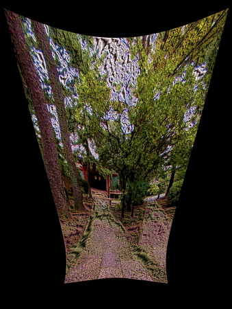 本光寺_本堂-01b(2)