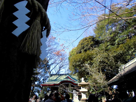 駒繋神社_2017 元日-02 行列