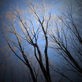 Photos: 明日へ-04a